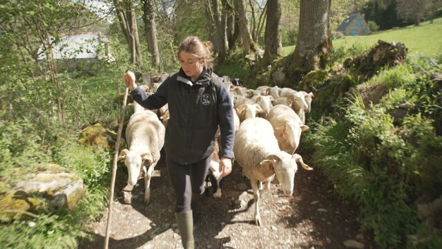 Vignette du programme télé Grands reportages