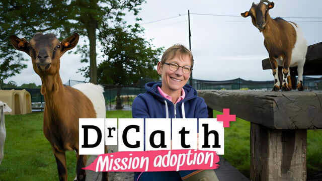 Vignette du programme télé Dr Cath : Mission adoption