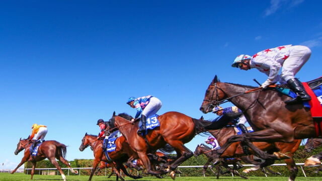 Vignette du programme télé Direct Quinté