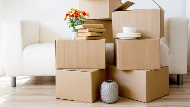 Vignette du programme télé Arnaques !