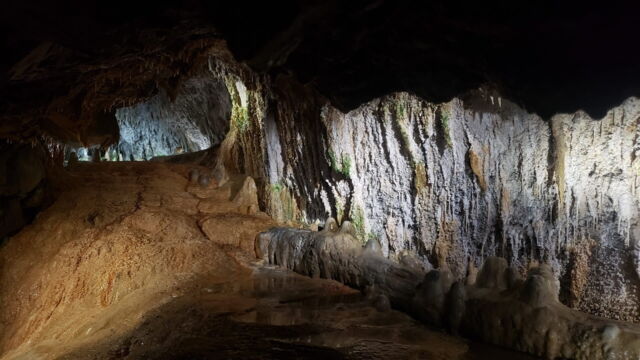 Vignette du programme télé Ces microbes qui vous veulent du bien