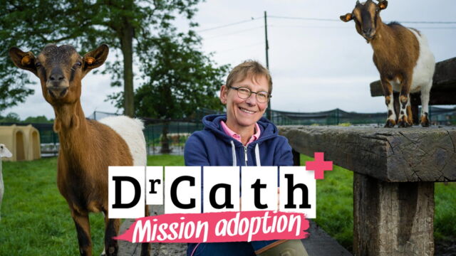 Vignette du programme télé Dr Cath : Mission adoption