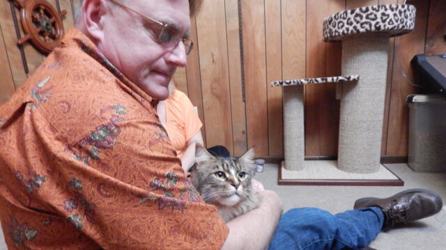 Vignette du programme télé Hell&#039;s Cats