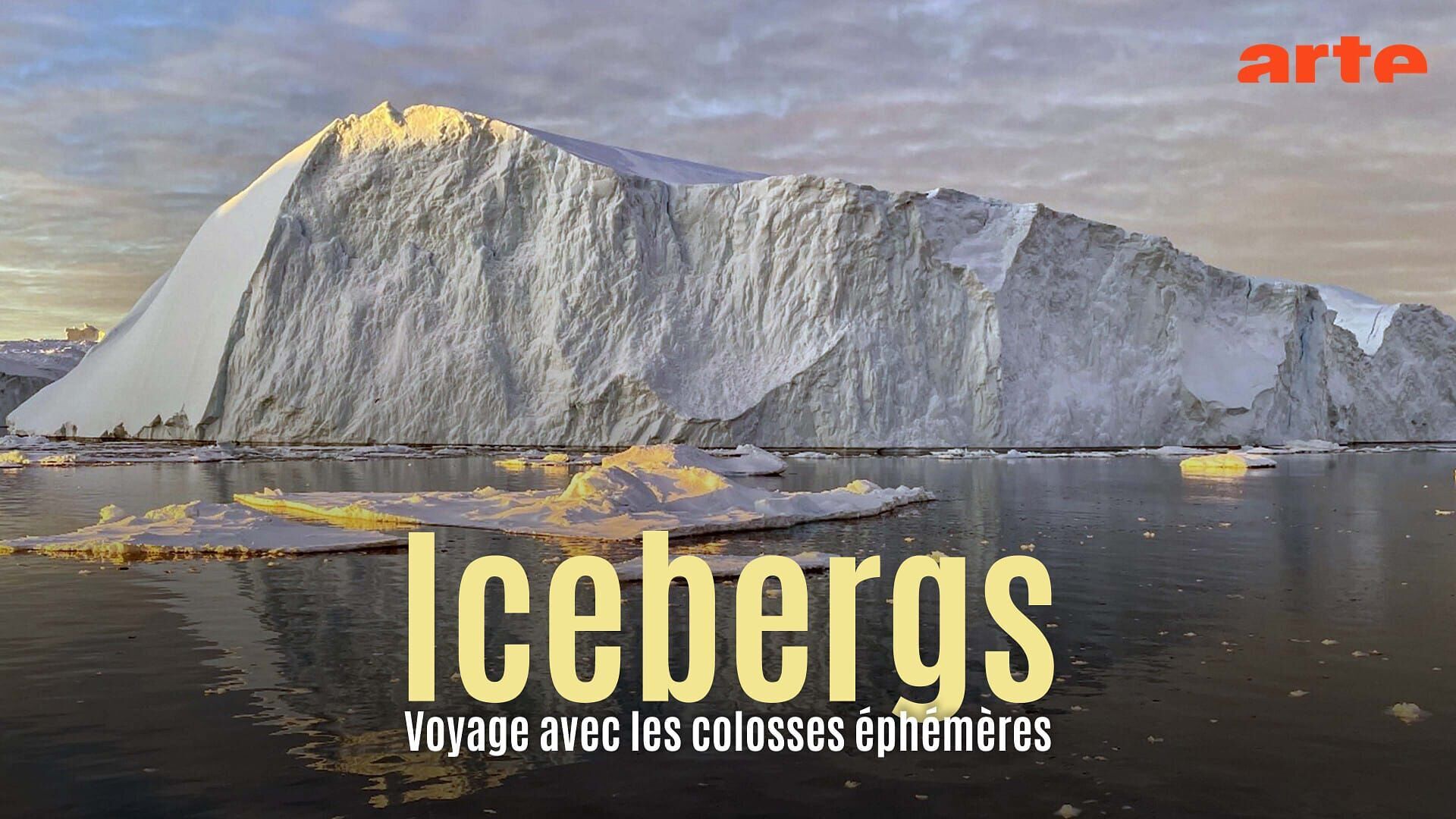 Vignette du programme télé Mondes sauvages