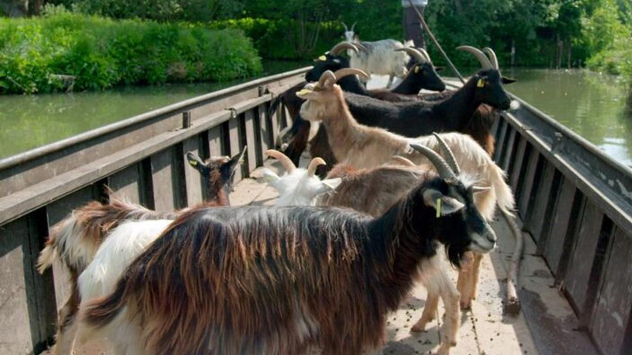 Vignette du programme télé La France côté Nord : De la Somme à la frontière belge