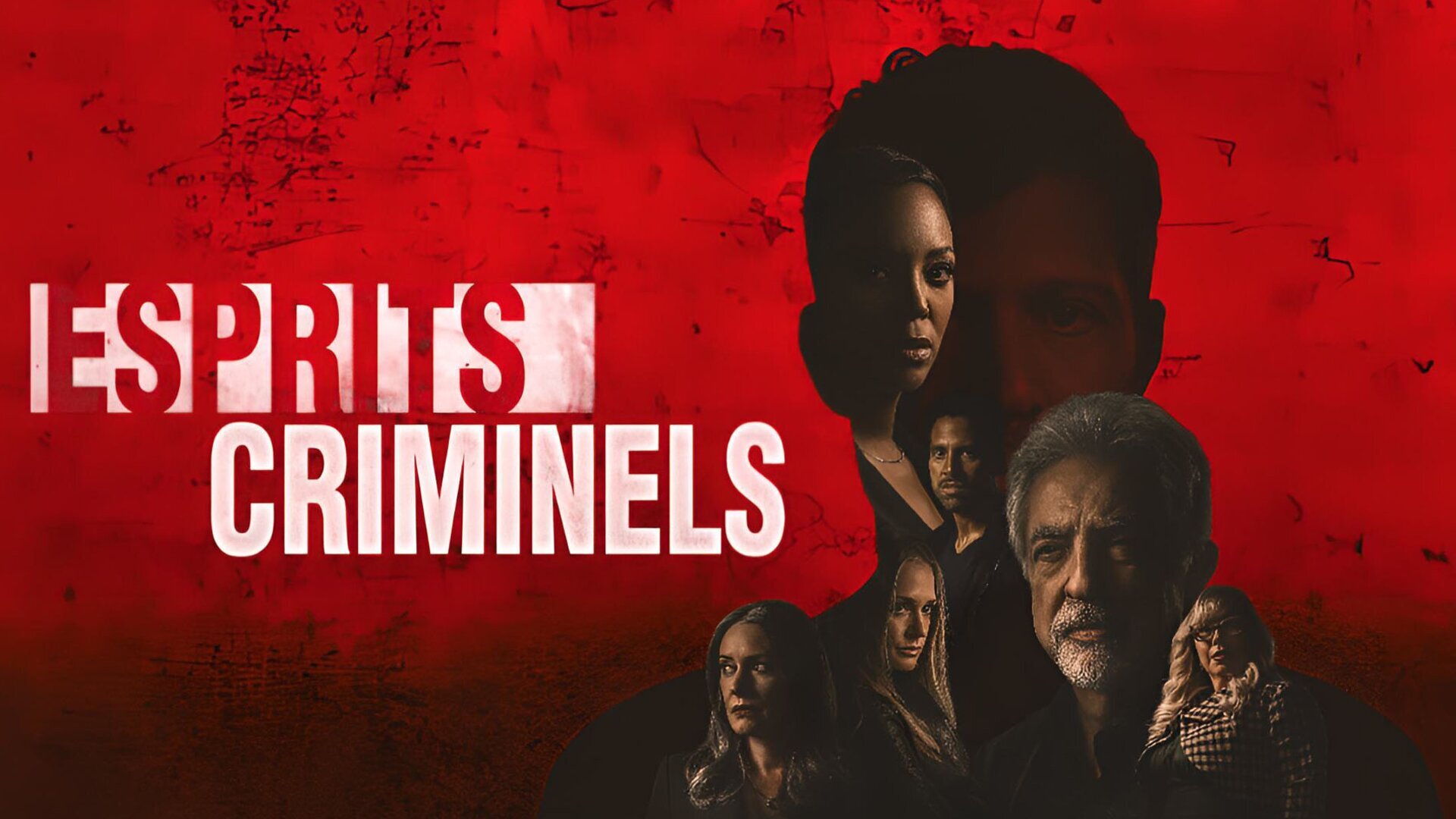 Vignette du programme télé Esprits criminels : Evolution