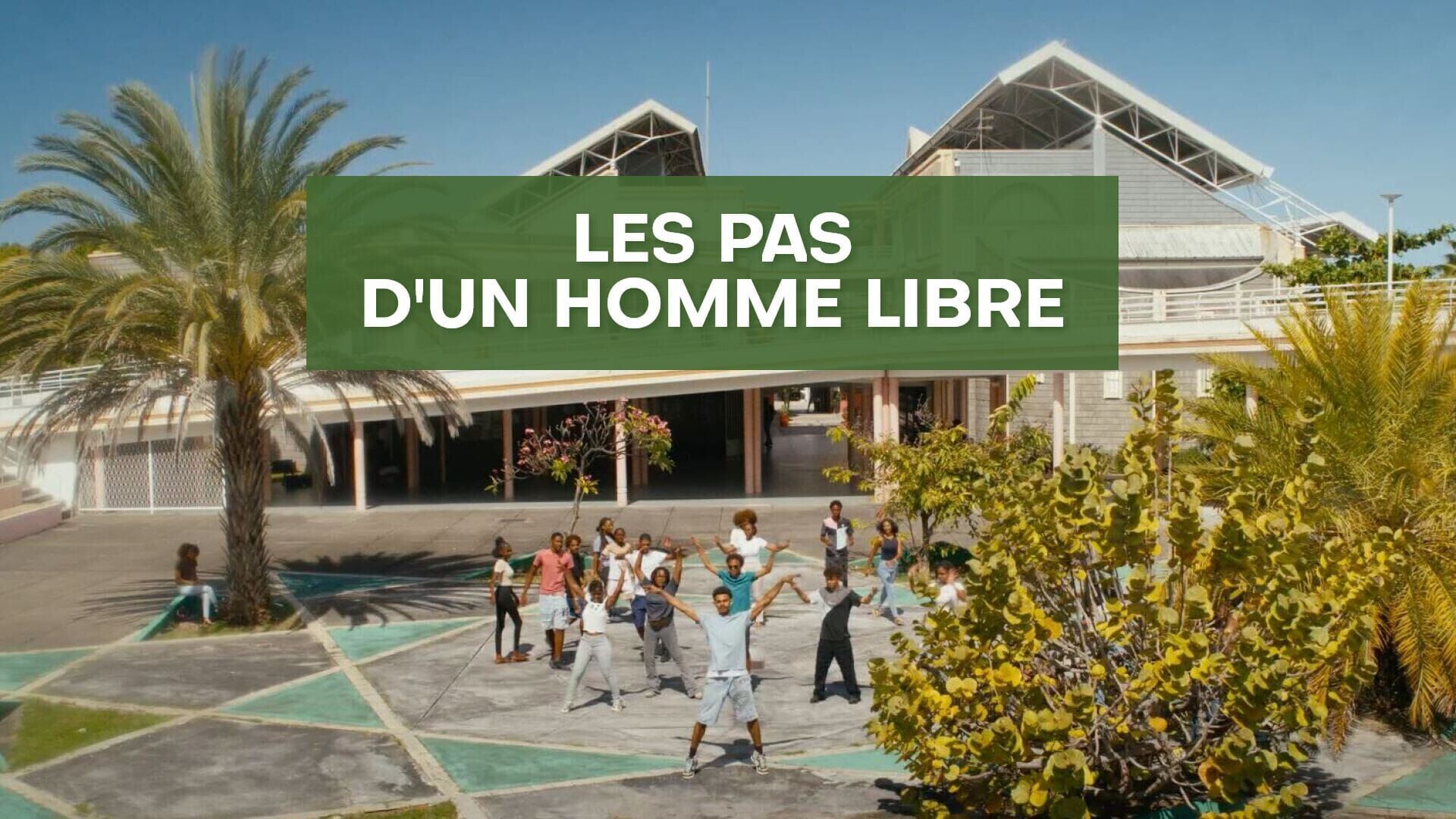 Vignette du programme télé Les pas d'un homme libre