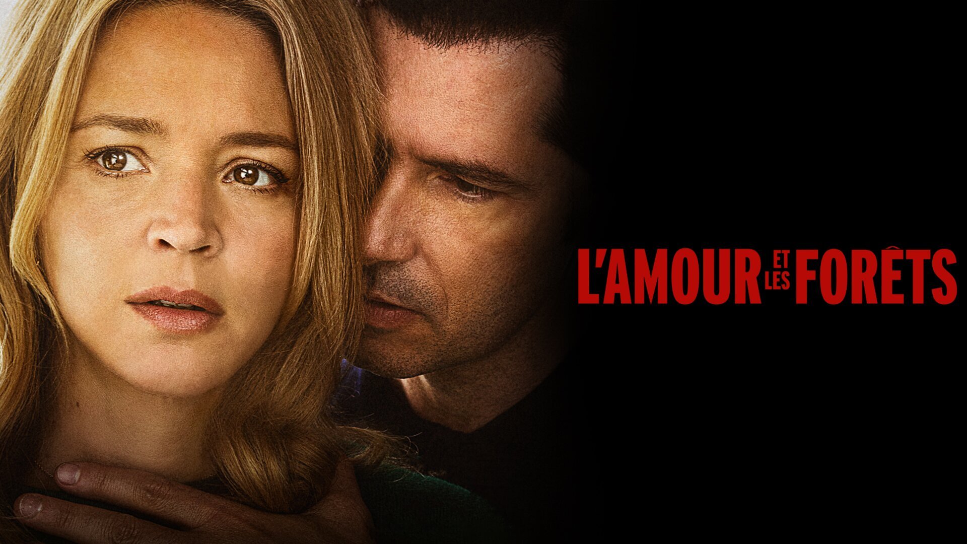 Vignette du programme télé L'amour et les forêts