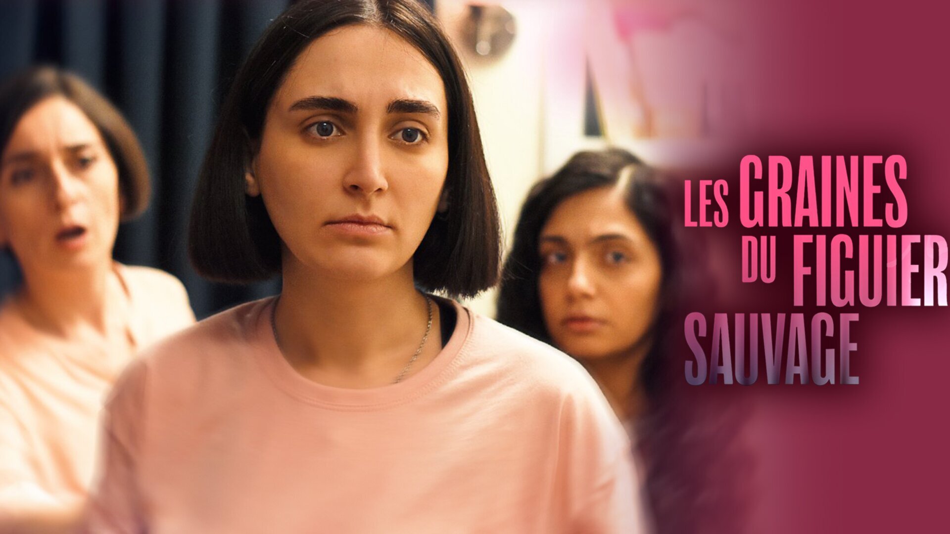 Vignette du programme télé Les Graines du figuier sauvage