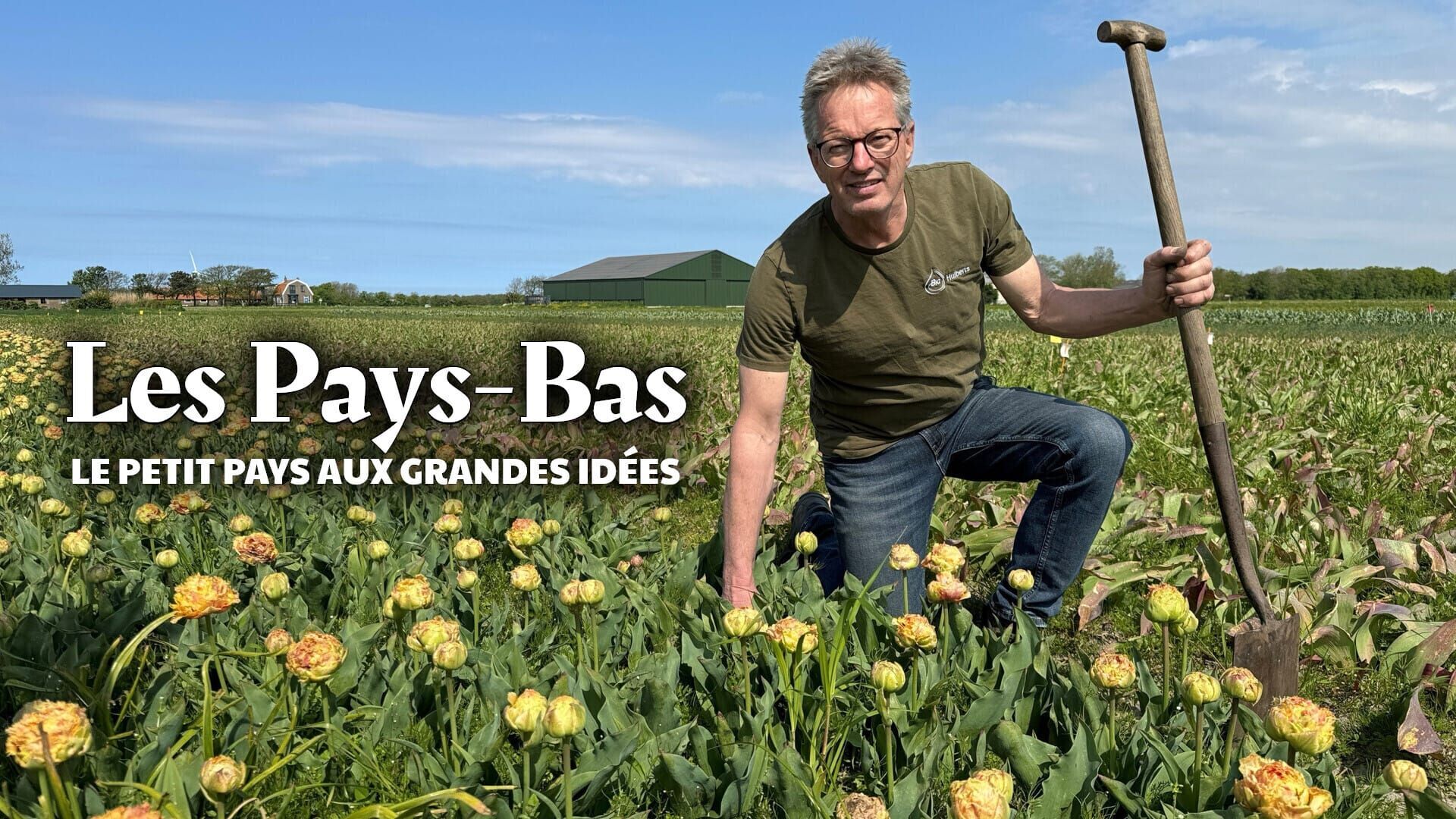 Vignette du programme télé Les Pays-Bas : Le petit pays aux grandes idées