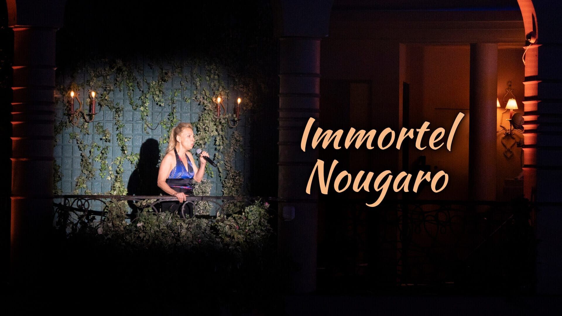 Vignette du programme télé Immortel Nougaro