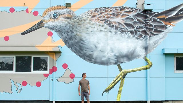 Vignette du programme télé GEO Reportage