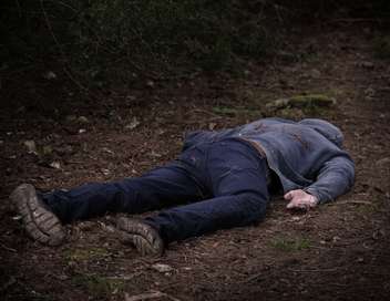 Vignette du programme télé Faites entrer l'accusé