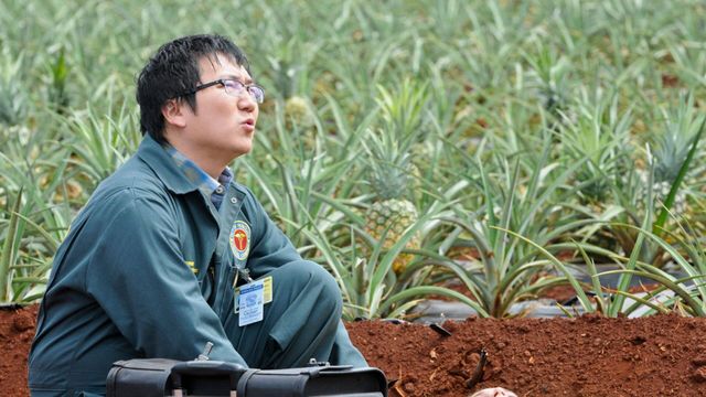 Vignette du programme télé Hawaii 5-0 - Saison 2