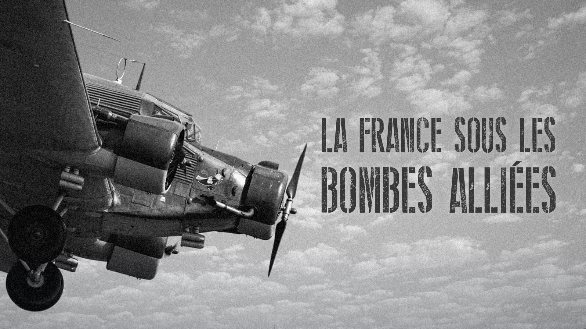 Vignette du programme télé La France sous les bombes alliées