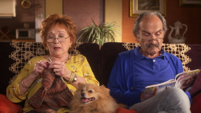 Vignette du programme télé Scènes de ménages