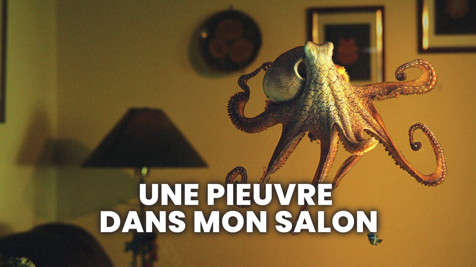 Vignette du programme télé Une pieuvre dans mon salon