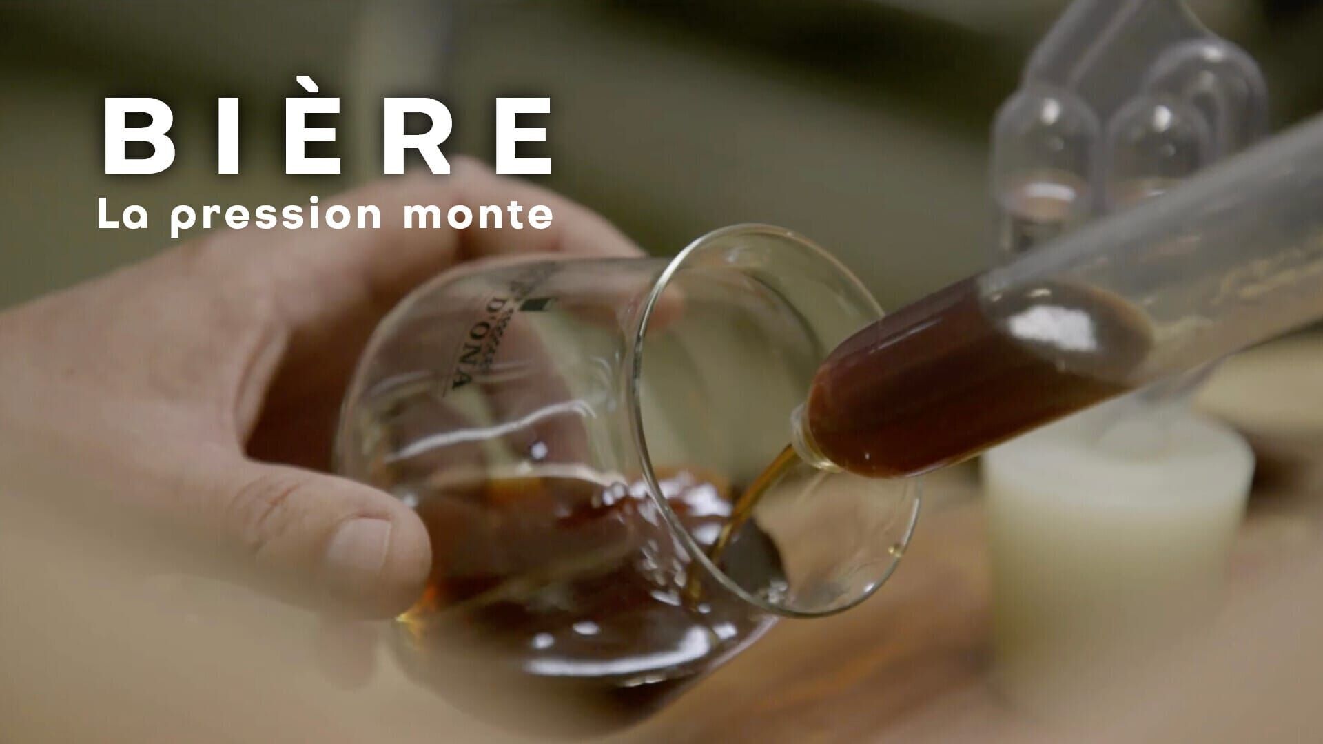 Vignette du programme télé Bière, la pression monte