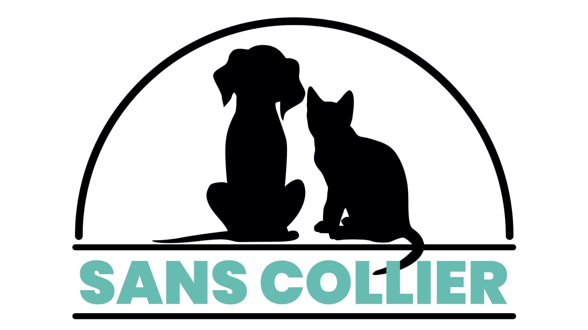 Vignette du programme télé Sans collier