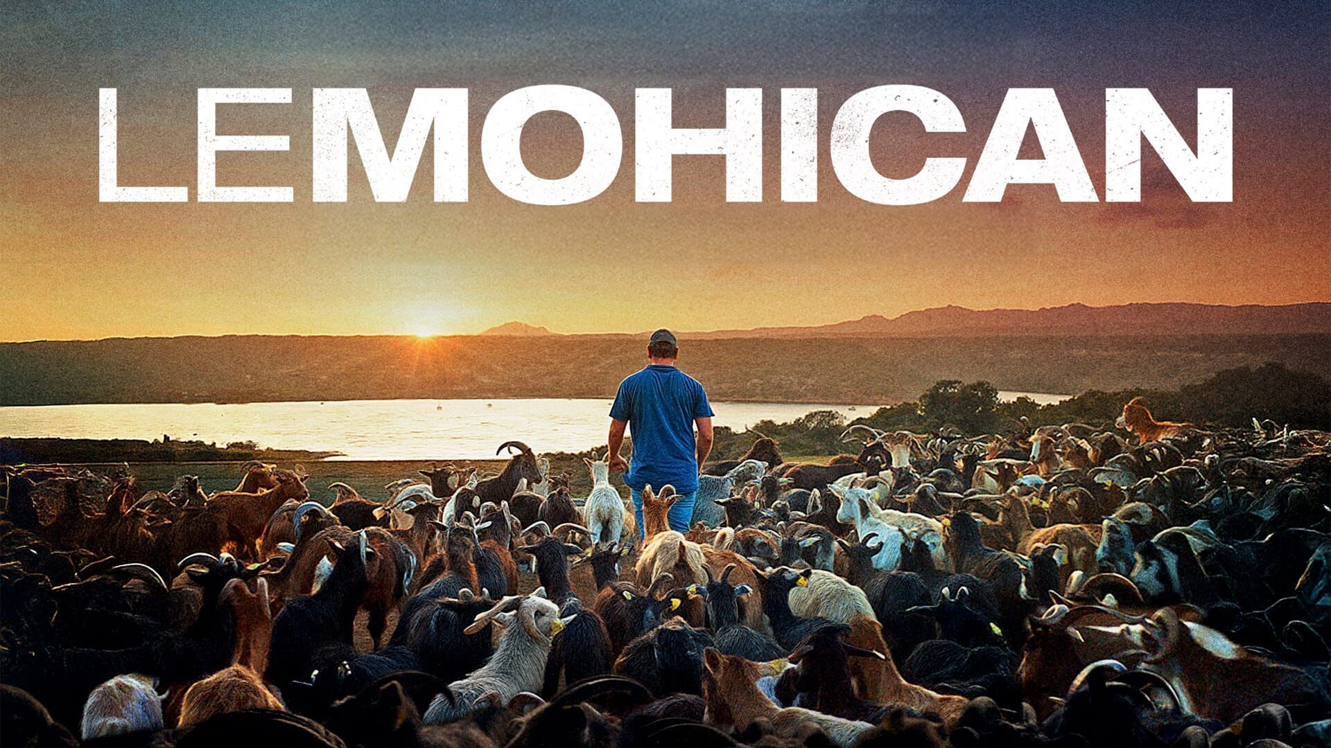 Vignette du programme télé Le Mohican