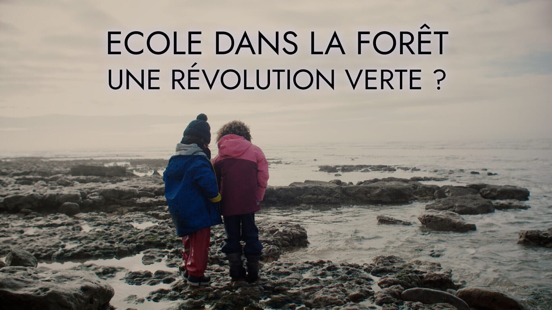 Vignette du programme télé Ecole dans la forêt, une révolution verte ?