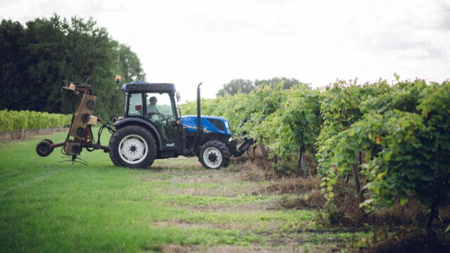 Vignette du programme télé L&#039;amour est dans le pré