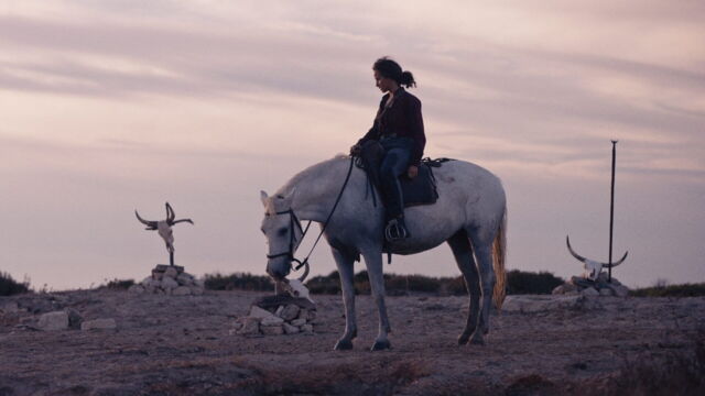 Vignette du programme télé Animale