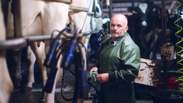 Vignette du programme télé L&#039;amour est dans le pré