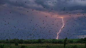 Vignette du programme télé Making of - Une planète parfaite (Du ciel aux océans) (n°1)