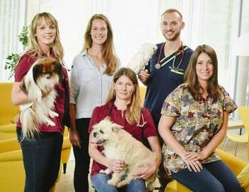 Vignette du programme télé Dr Cath : mission adoption