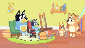 Vignette du programme télé Bluey (Taxi) S1 (25/52)