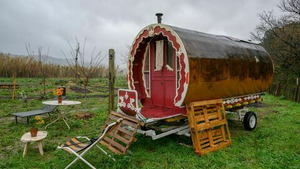 Vignette du programme télé Tom et Lola (Seule contre tous) S2 (4/12)