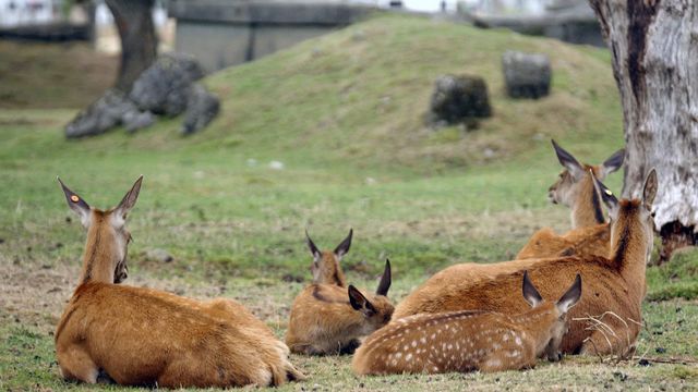 Vignette du programme télé Invitation au voyage