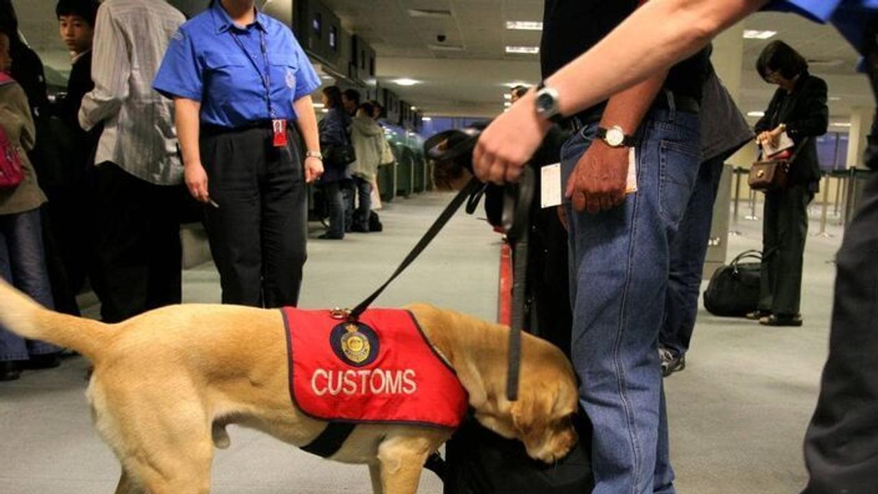 Vignette du programme télé Douanes sous haute surveillance