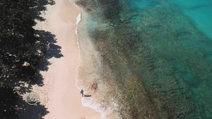 Vignette du programme télé Les 100 lieux qu'il faut voir (La Guadeloupe, de la Soufrière à Marie-Galante) S8 (n°6)