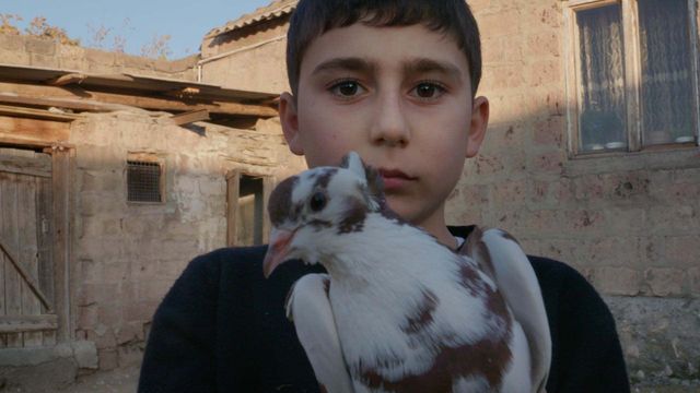 Vignette du programme télé Un garçon, une terre, la guerre
