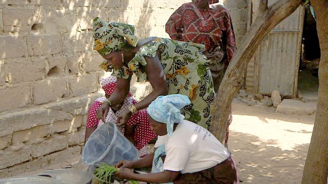 Vignette du programme télé Médecines d'ailleurs - Saison 2