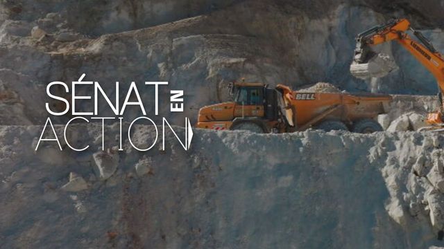 Vignette du programme télé Sénat en action