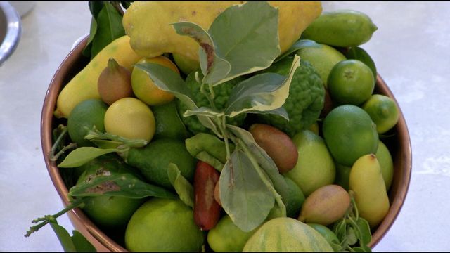 Vignette du programme télé Les carnets de Julie