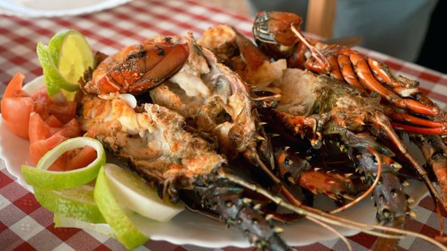 Vignette du programme télé Voyage en cuisine