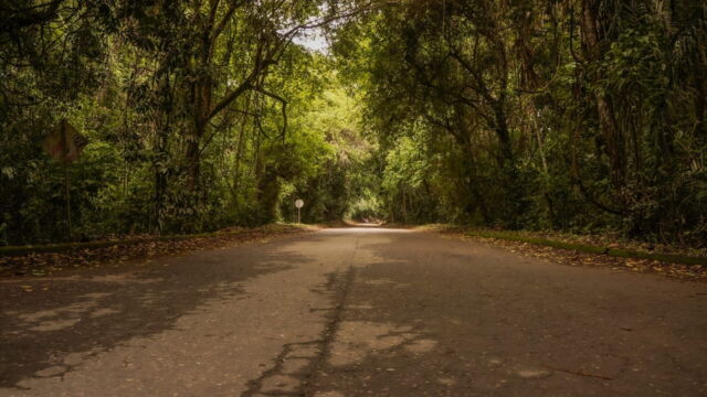 Vignette du programme télé Enquêtes criminelles