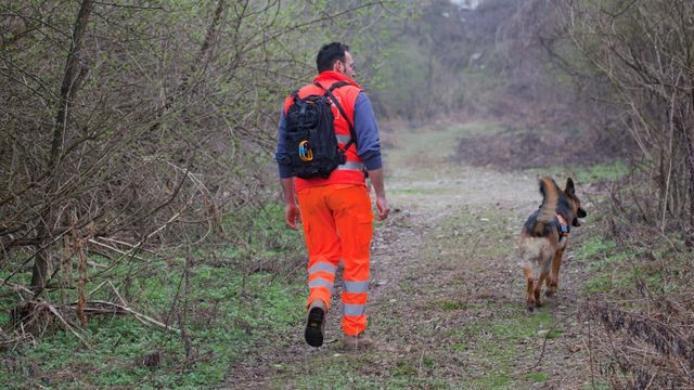 Vignette du programme télé Enquêtes criminelles