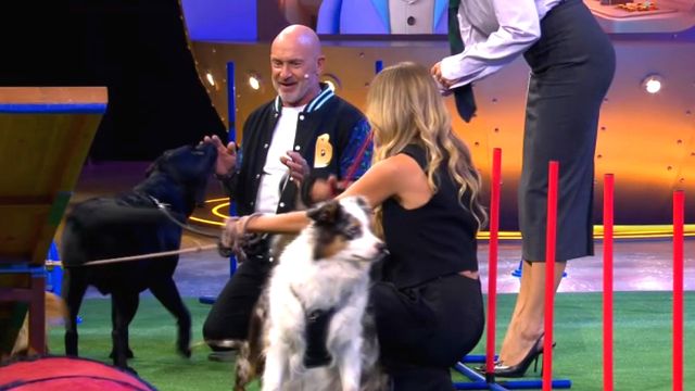 Vignette du programme télé Le Bigdil, le retour évènement