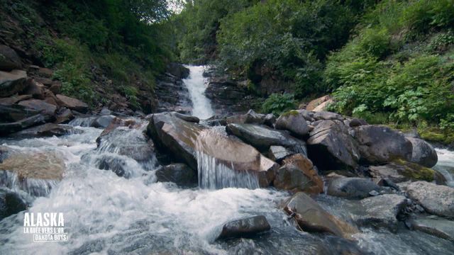 Vignette du programme télé La ruée vers l'or : Dakota Boys - Saison 3