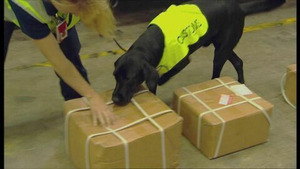 Vignette du programme télé Douanes sous haute surveillance S4 (16/20)