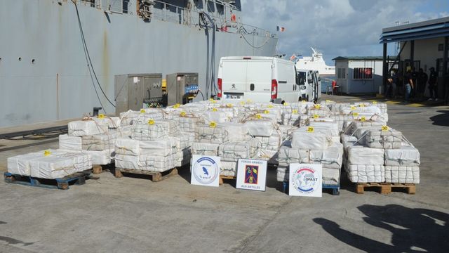 Vignette du programme télé Le journal de la Défense