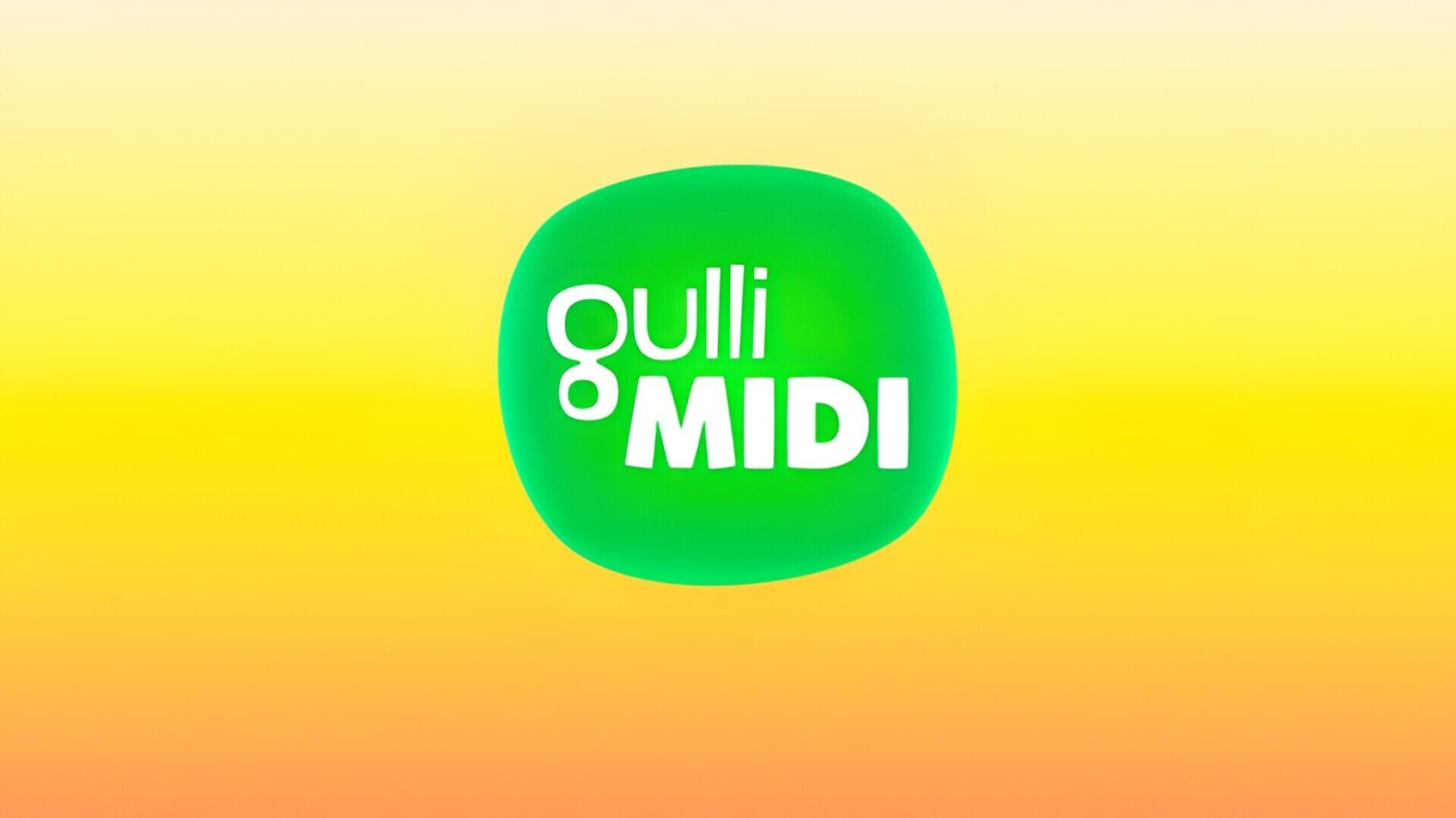 Vignette du programme télé Gulli Midi