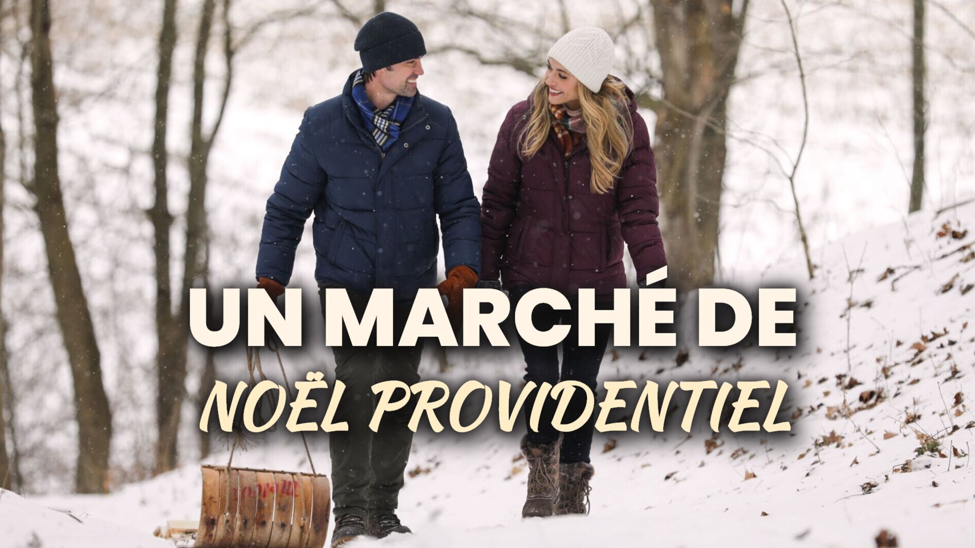 Vignette du programme télé Un marché de Noël providentiel