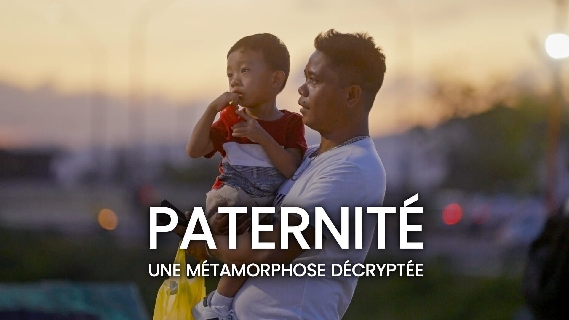 Vignette du programme télé Paternité : une métamorphose décryptée