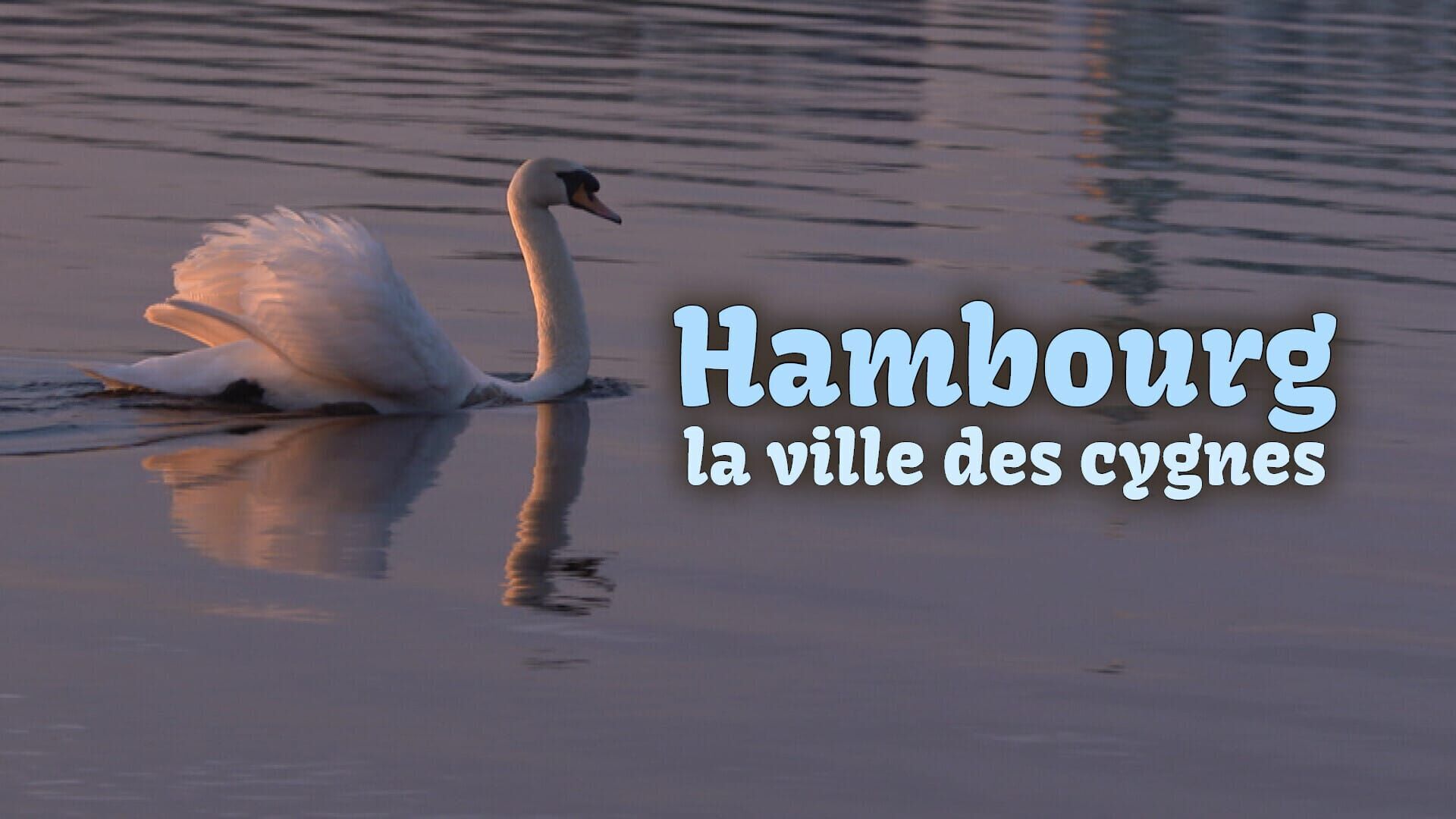 Vignette du programme télé Hambourg, la ville des cygnes